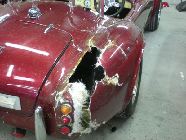 restauration-AC-COBRA-pilgrim-18