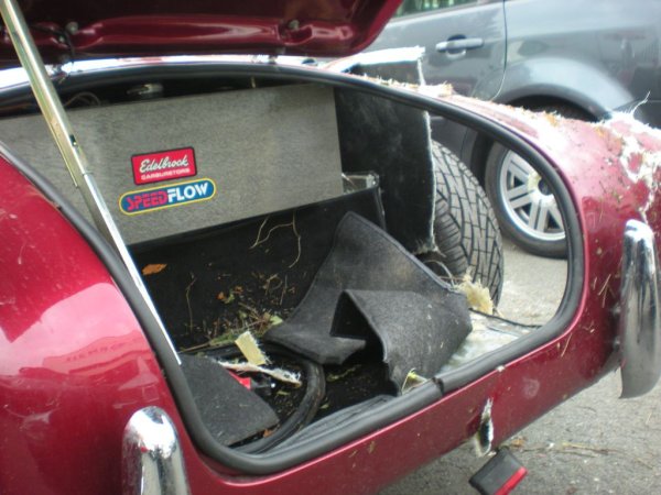 restauration-AC-COBRA-pilgrim-7