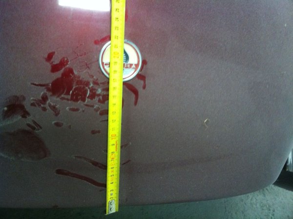 restauration-AC-COBRA-pilgrim-85